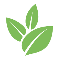 TJs Fallen Tree Removal