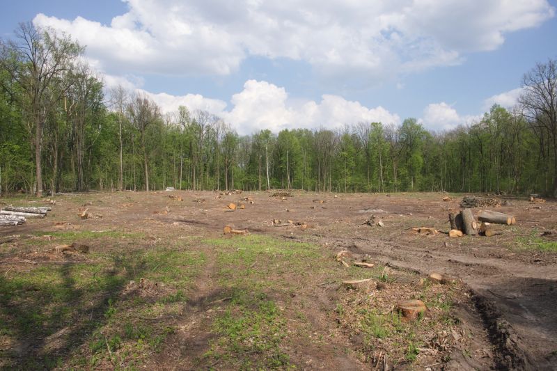 Acreage Clearing in Gwinnett County, GA