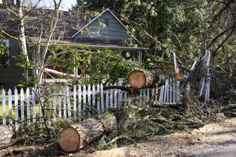 Cost of Fallen Tree Removal — Cost of Fallen Tree Removal